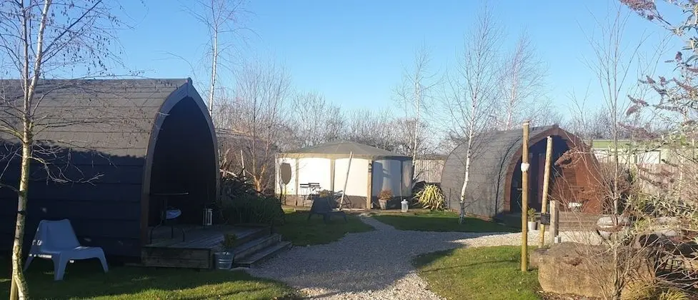 Oda, Ortak Banyo (Dog Pod)