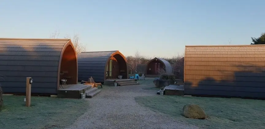 Oda, Ortak Banyo (Dog Pod)
