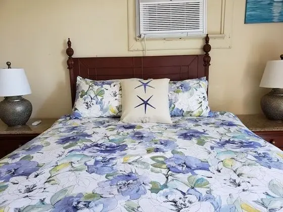 Deluxe Apartment, 1 Queen Bed with Sofa bed, Harbor View, Slope side, Apt#2