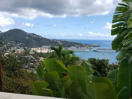 Deluxe Apartment, 1 Queen Bed with Sofa bed, Harbor View, Slope side, Apt#2