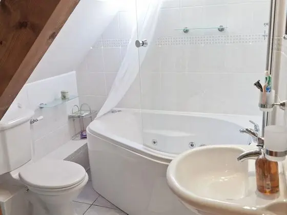 Premier Tek Büyük Yataklı Oda, Banyolu/Duşlu (walk in Ensuite Shower)