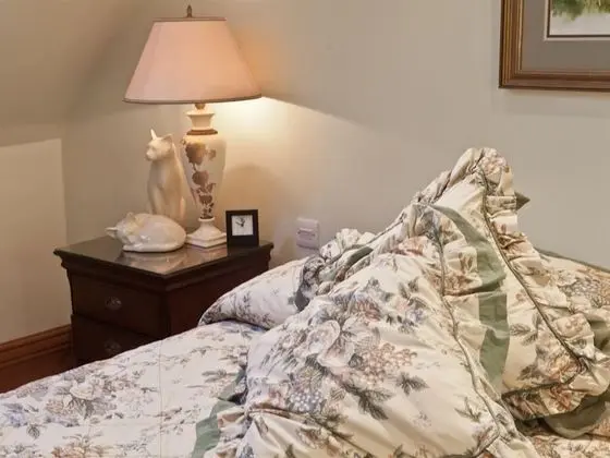 Tek Büyük Yataklı Oda, Banyolu/Duşlu (Hydro Spa)