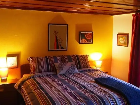 Tek Büyük Yataklı Oda, Banyolu/Duşlu, Bahçe Manzaralı