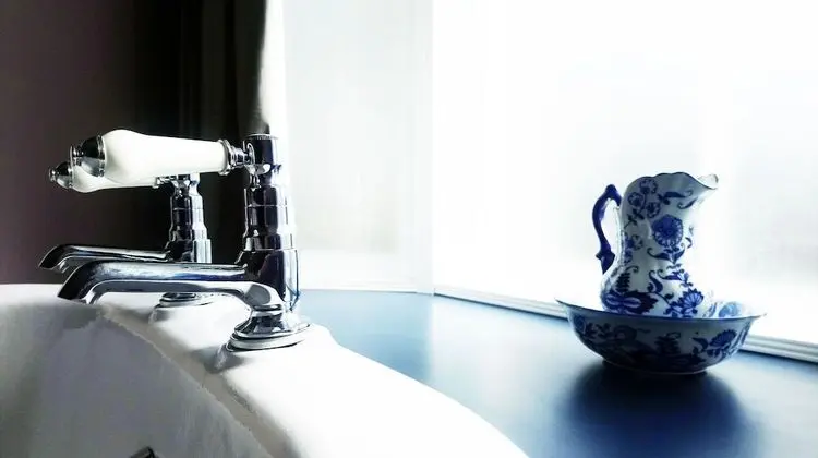 Luxury Tek Büyük Yataklı Oda, 1 En Büyük (King) Boy Yatak
