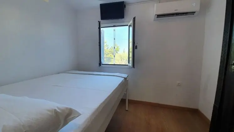 Traditional Stüdyo