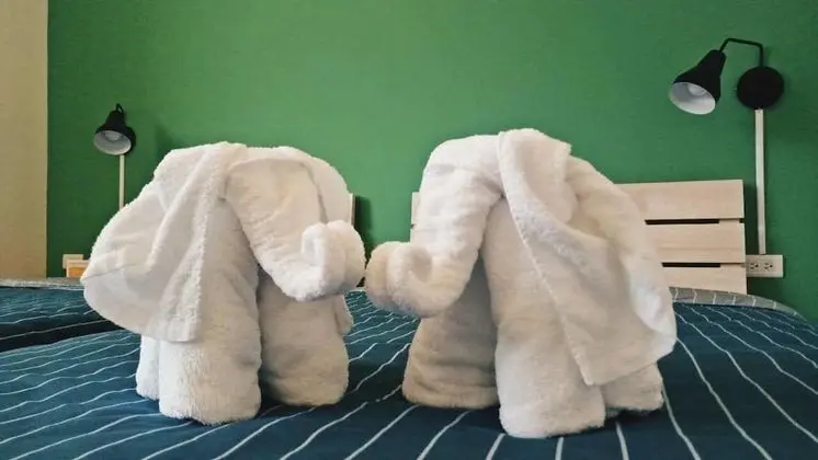 İki Ayrı Yataklı Oda