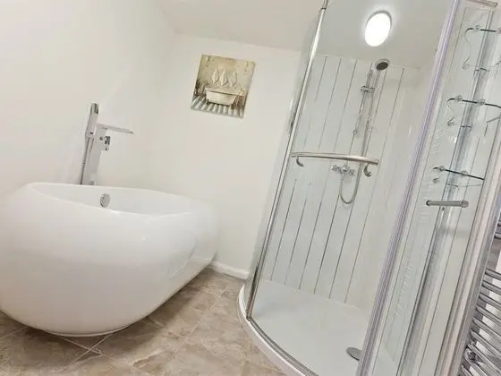 Superior Tek Büyük veya İki Ayrı Yataklı Oda, Banyolu/Duşlu (Porcelain)
