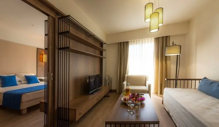 https://imagessl.etstur.com/files/images/hotelImages/TR/51339/l/LIV-Hotel-by-Bellazure-Oda-284858.jpg