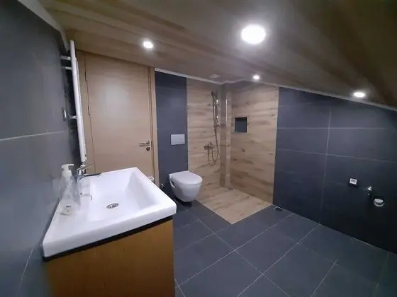 Business Çatı Katı Süiti (Penthouse)