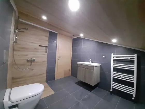 Business Çatı Katı Süiti (Penthouse)