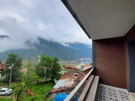Business Çatı Katı Süiti (Penthouse)