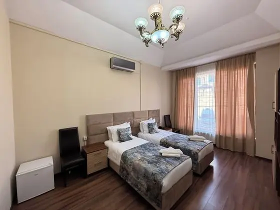 Standard Tek Büyük veya İki Ayrı Yataklı Oda, 1 Yatak Odası, Şehir Manzaralı