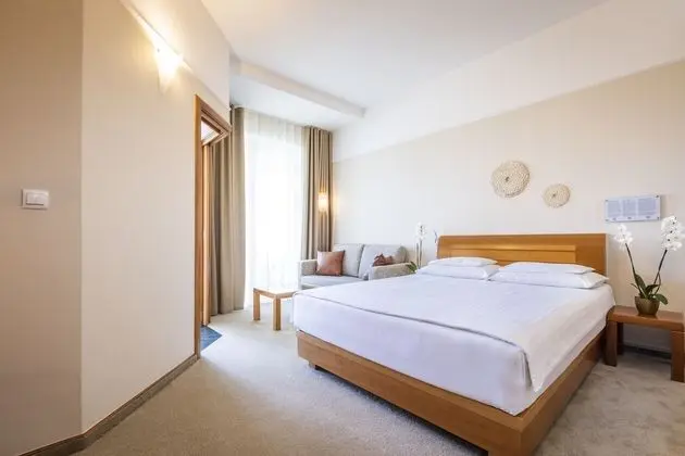Economy Tek Büyük Yataklı Oda, Balkon