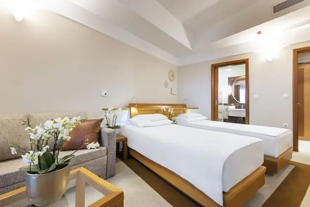 Standard Tek Büyük Yataklı Oda, Balkon