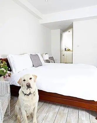 Tek Büyük Yataklı Oda (Room2)