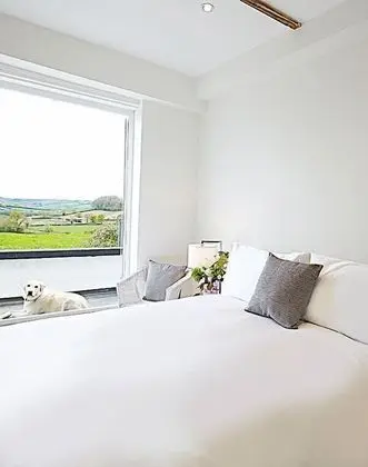 Tek Büyük Yataklı Oda (Room2)