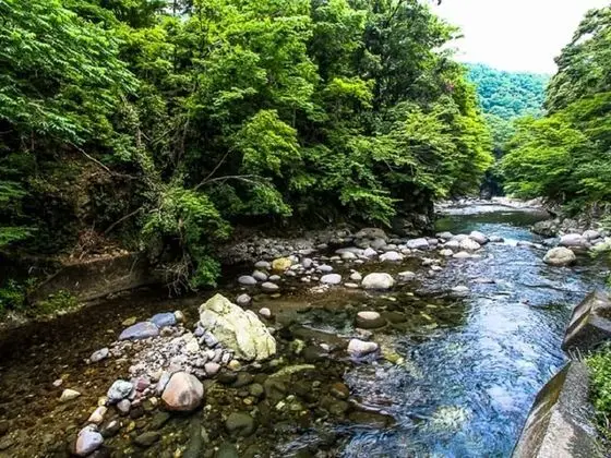 Traditional Oda, Sigara İçilmez, Nehir Manzaralı (Japanese Style)