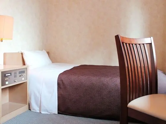 Economy Tek Büyük Yataklı Oda, Sigara İçilmez (Bed size100×195cm)