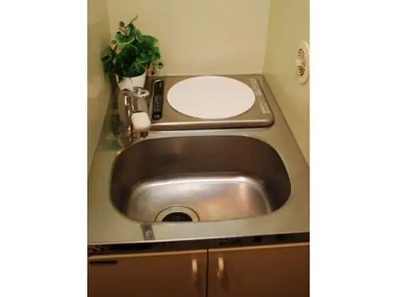 Business Tek Kişilik Oda, Sigara İçilmez (Dog Friendly)