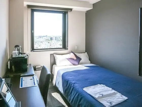 Tek Kişilik Oda, Sigara İçilebilir (Dog Friendly)