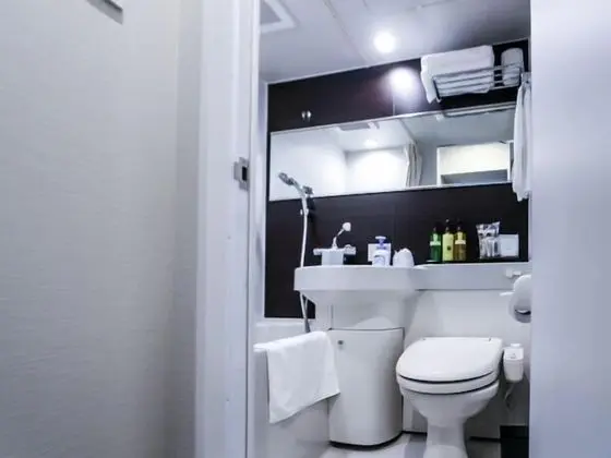 Business Tek Kişilik Oda, Sigara İçilebilir (Dog Friendly)