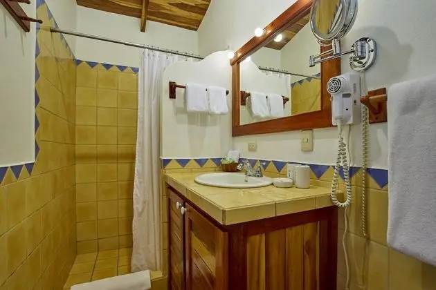 Standard Tek Büyük Yataklı Oda, 1 Büyük (Queen) Boy Yatak, Özel Banyo