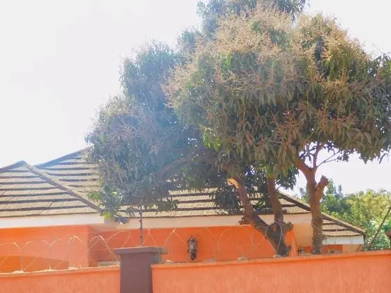 Executive Tek Büyük Yataklı Oda, 1 Büyük (Queen) Boy Yatak, Avlu Manzaralı