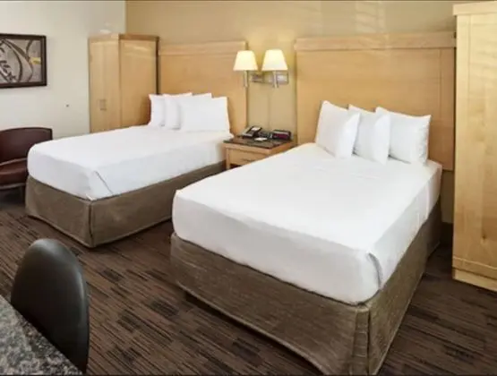 Deluxe Oda, 2 Çift Kişilik Yatak, Engellilere Uygun, Sigara İçilmez