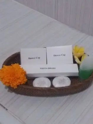 Deluxe İki Ayrı Yataklı Oda