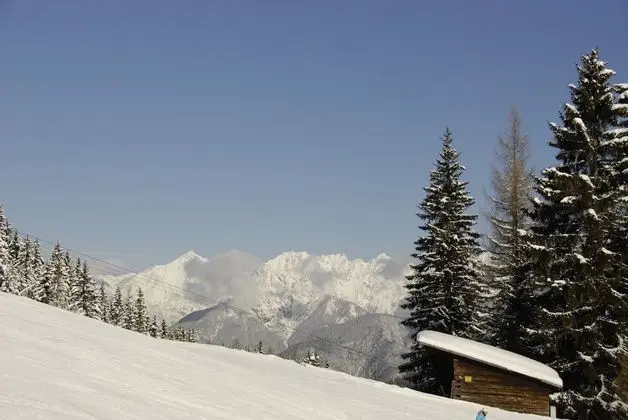 Basic Tek Büyük veya İki Ayrı Yataklı Oda