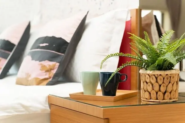 Deluxe Tek Büyük Yataklı Oda, 1 Çift Kişilik Yatak, Şehir Manzaralı