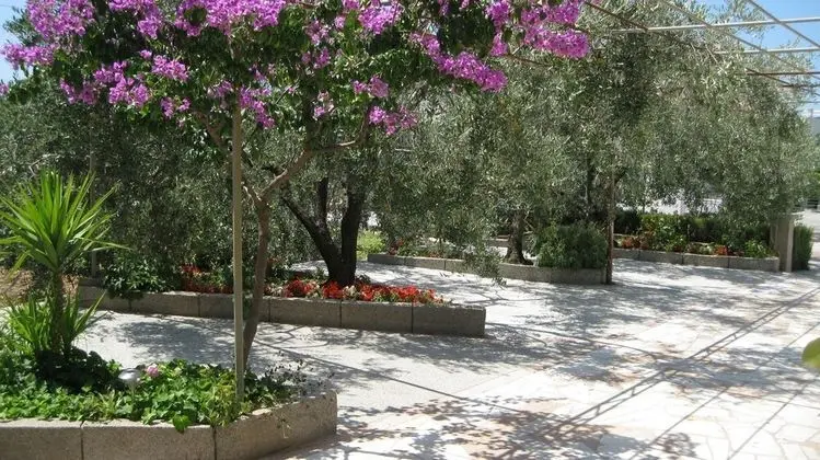 Apart Daire (Ljuba - nice garden - A4(8+1))