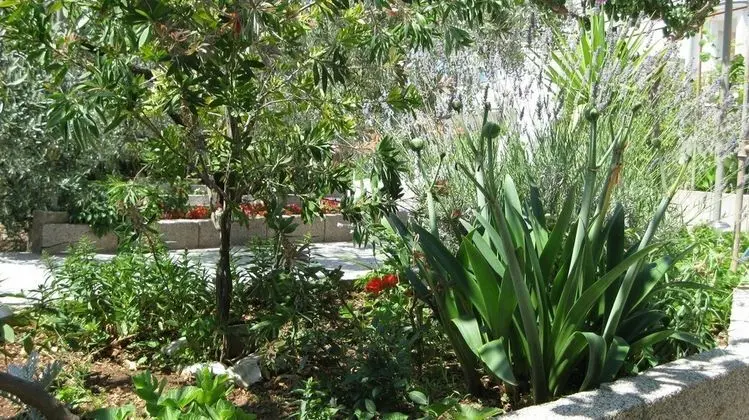 Apart Daire (Ljuba - nice garden - A4(8+1))