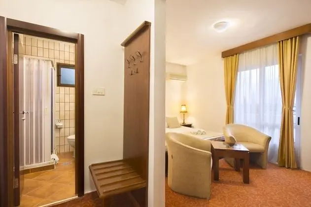 Standard Tek Büyük Yataklı Oda, Şehir Manzaralı