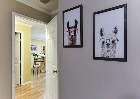 Ev (Llama House -**Self distance in peace)