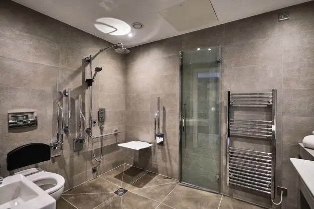 Superior Tek Büyük Yataklı Oda, Engellilere Uygun (Disabled Room)