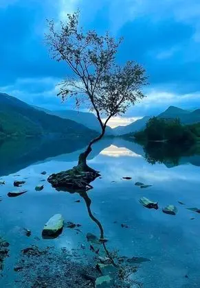 Ev, Birden Çok Yatak