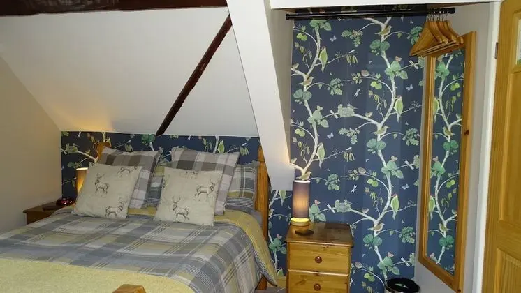 Standard Tek Büyük Yataklı Oda, Banyolu/Duşlu (Room 1)