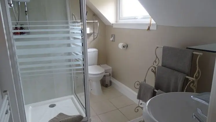 Standard Tek Büyük Yataklı Oda, Banyolu/Duşlu (Room 1)