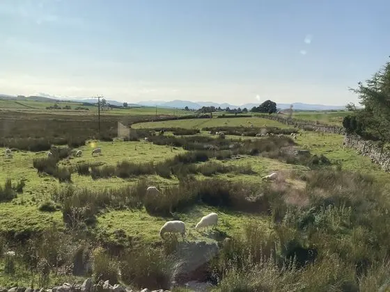 Tek Büyük veya İki Ayrı Yataklı Oda, Banyolu/Duşlu