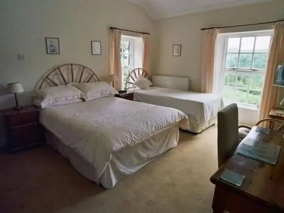 Tek Büyük Yataklı Oda, Banyolu/Duşlu (Garden View)