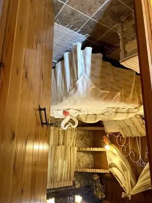 Apart Daire (Taronja)