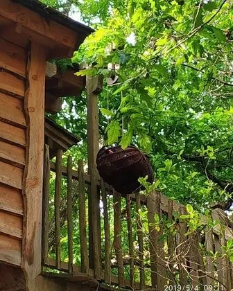Deluxe Kulübe, Banyolu/Duşlu (Cabane)