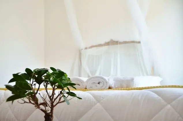 Design Tek Büyük veya İki Ayrı Yataklı Oda, 1 Büyük (Queen) Boy Yatak, Özel Banyo, Şehir Manzaralı