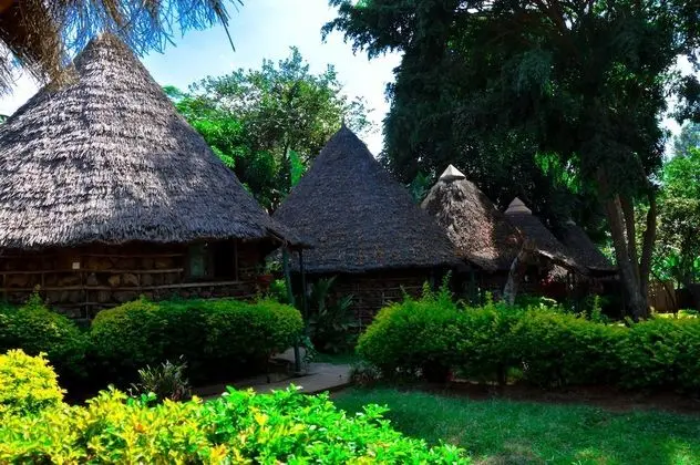 Standard Bungalov