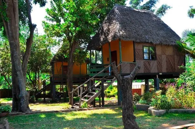 Standard Bungalov
