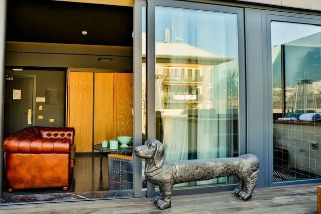 Superior Çatı Katı Süiti (Penthouse), Teras (Jacuzzi)