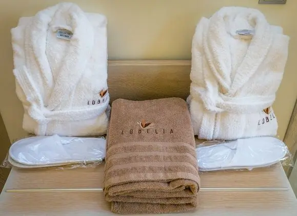 Deluxe King Suite
