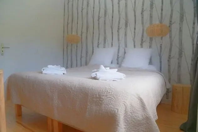 Deluxe Tek Büyük Yataklı Oda (Aux bois enchantés)