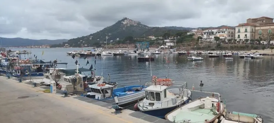 Ev, 1 Yatak Odası, Buzdolabı